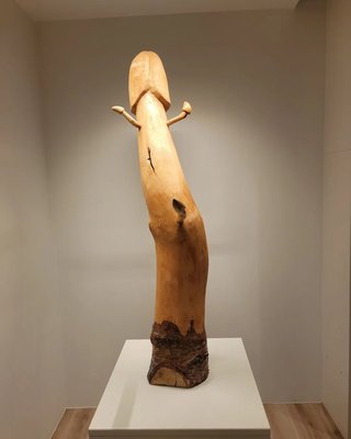 아이슬란드 남근 박물관 (히트 이슬렌츠카 레다사프느)